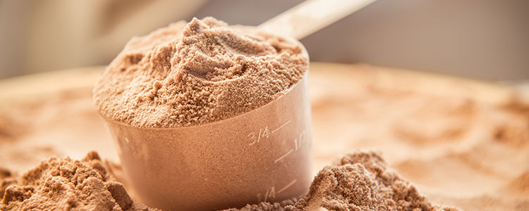 Protein Powders explained